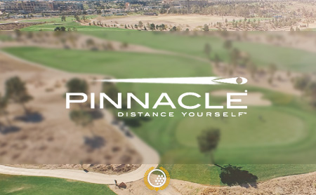 【ピナクル(Pinnacle)】のゴルフボール比較