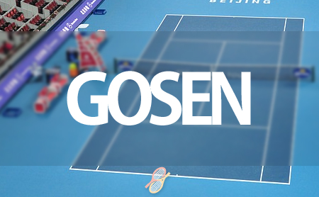 ゴーセンの口コミ評判とおすすめソフトテニスラケット
