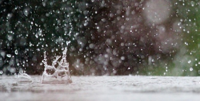 梅雨 ランニングシューズ